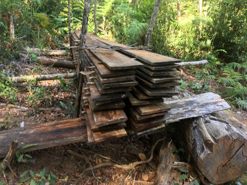 Đống ván gỗ chất ngay đường mà đối tượng khai thác trái phép chưa kịp vận chuyển ra khỏi rừng