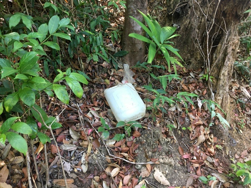 Can nhựa đựng xăng máy cưa nằm vương vãi trên nền rừng