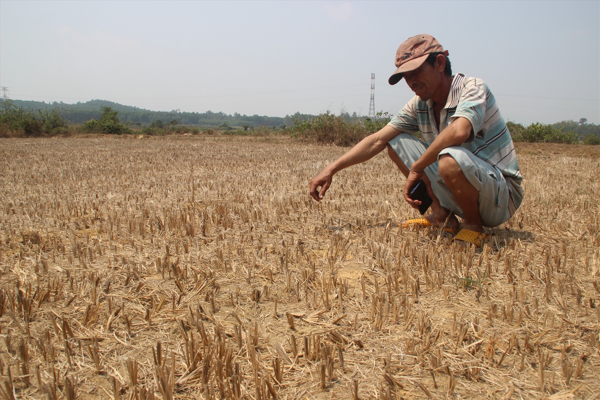 Ruộng lúa thiếu nước để sản xuất ở huyện Tây Sơn, tỉnh Bình Định. Ảnh: N.T
