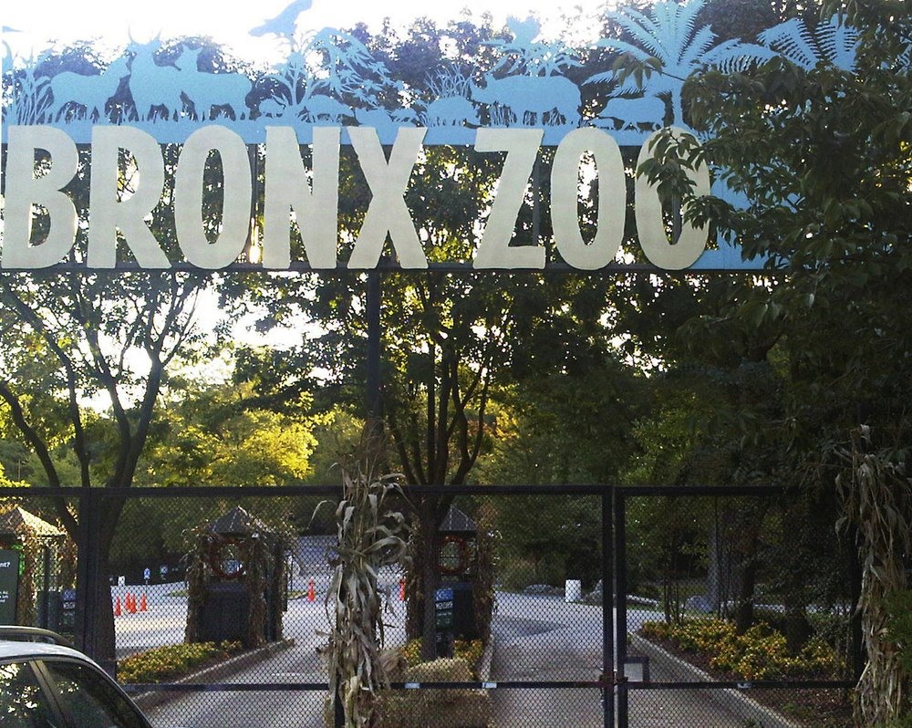 Sở thú Bronx, nơi có con hổ bị mắc COVID-19. Ảnh: AP.