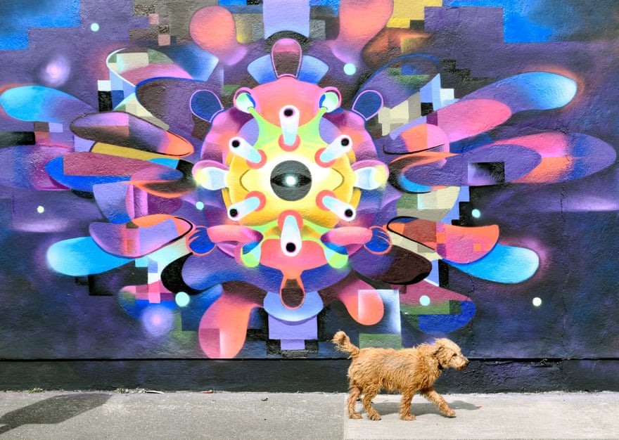 Một con chó đi ngang qua một bức tranh tường mô tả một tế bào virus Corona ở Dublin, Ireland. Ảnh: EPA.