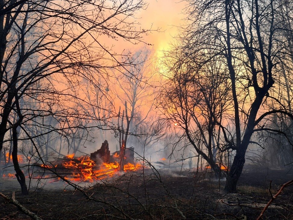 Cháy rừng gần nhà máy điện hạt nhân Chernobyl. Ảnh: Reuters