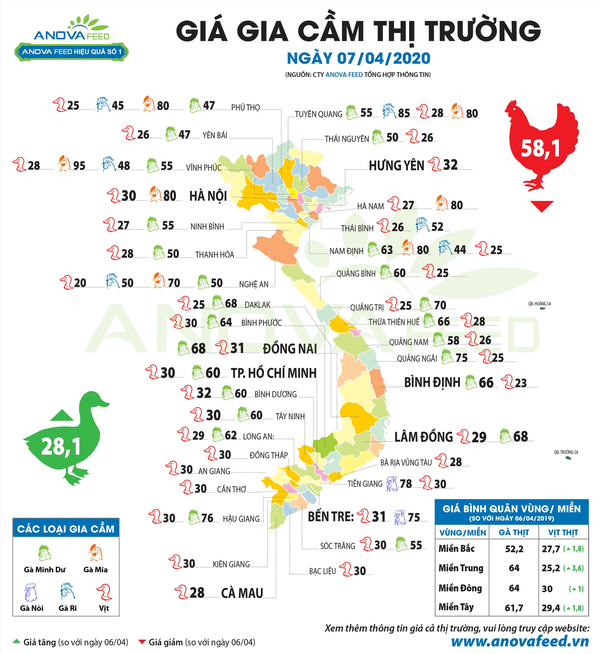 Giá bán lẻ gia cầm trên thị trường ngày 7.4.2020 giảm do nguồn cung dư thừa. Nguồn: Anova Feed