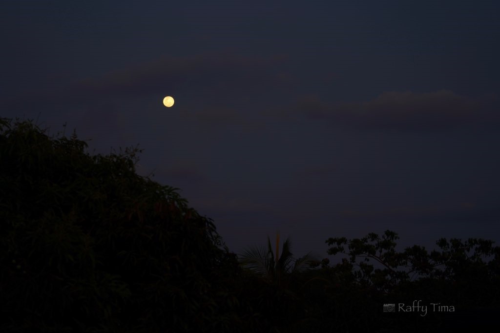 Siêu trăng hồng tháng 4.2020 ở Antipolo, Rizal, Philippines. Ảnh: Twitter.