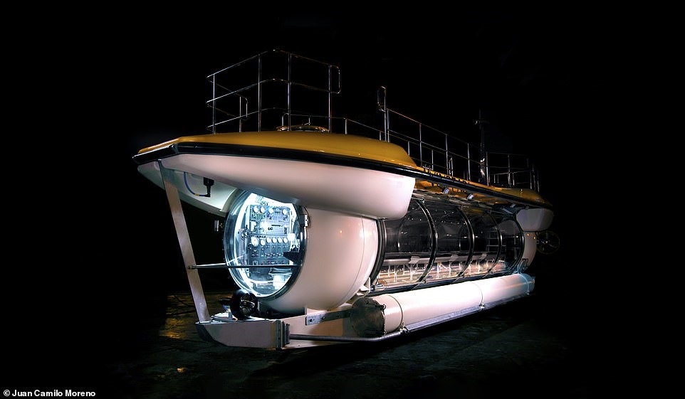 Tàu ngầm DeepView 24 có sức chứa 24 hành khách. Ảnh: Juan Carilo Moreno/Daily Mail