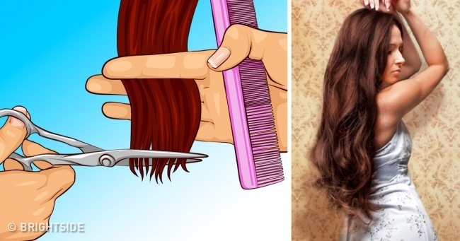 Sai lầm 5: Bạn càng cắt tóc, tóc càng mọc nhanh  Vì tóc mọc từ chân tóc chứ không phải từ ngọn, nên việc cắt tóc không ảnh hưởng đến tốc độ tăng trưởng theo bất kỳ cách nào.