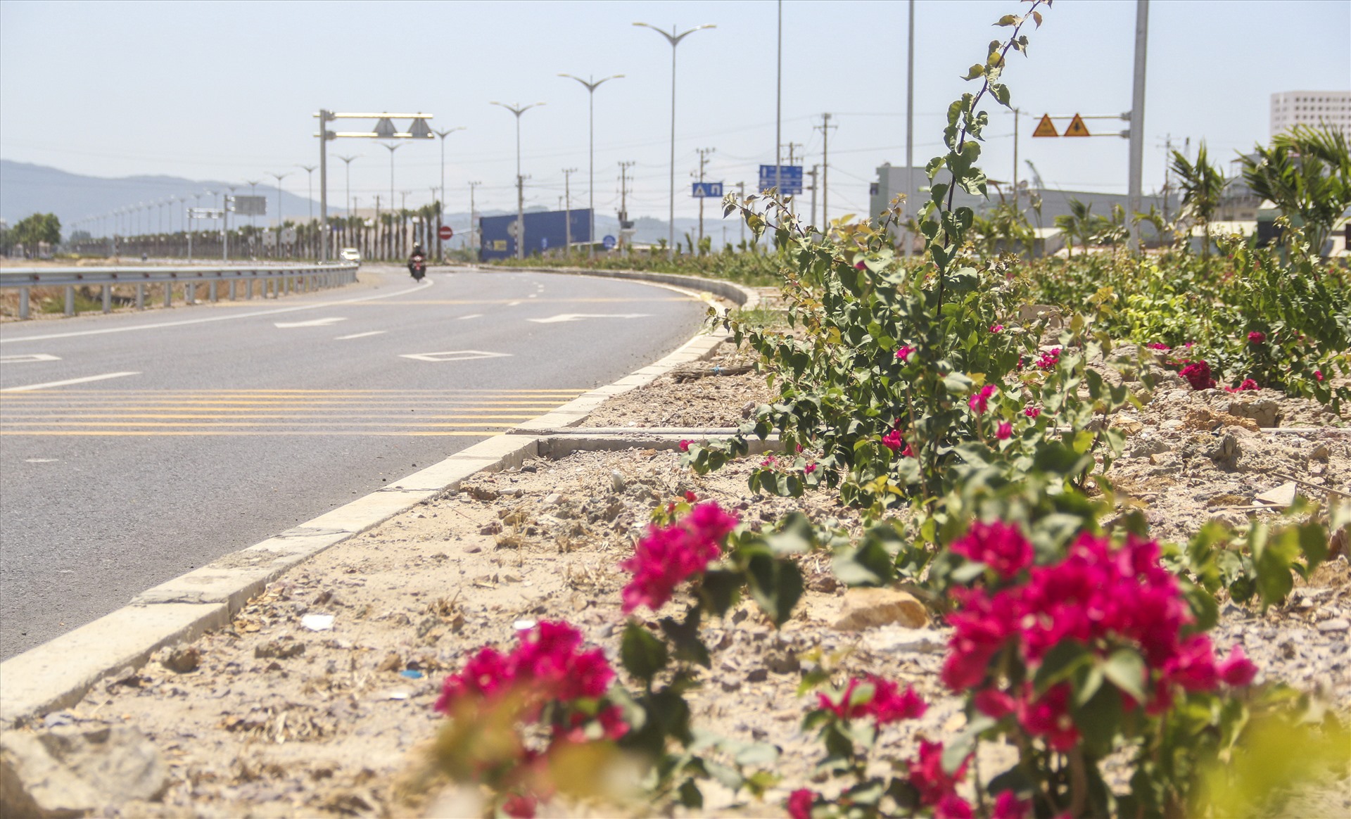 Để làm đẹp cảnh quan cho Quốc lộ 19 mới, tỉnh Bình Định đã cho trồng nhiều hoa giấy trên dải phân cách giữa đường. Tuy nhiên, tình trạng trộm hoa giấy trên dải phân cách liên tục diễn ra.