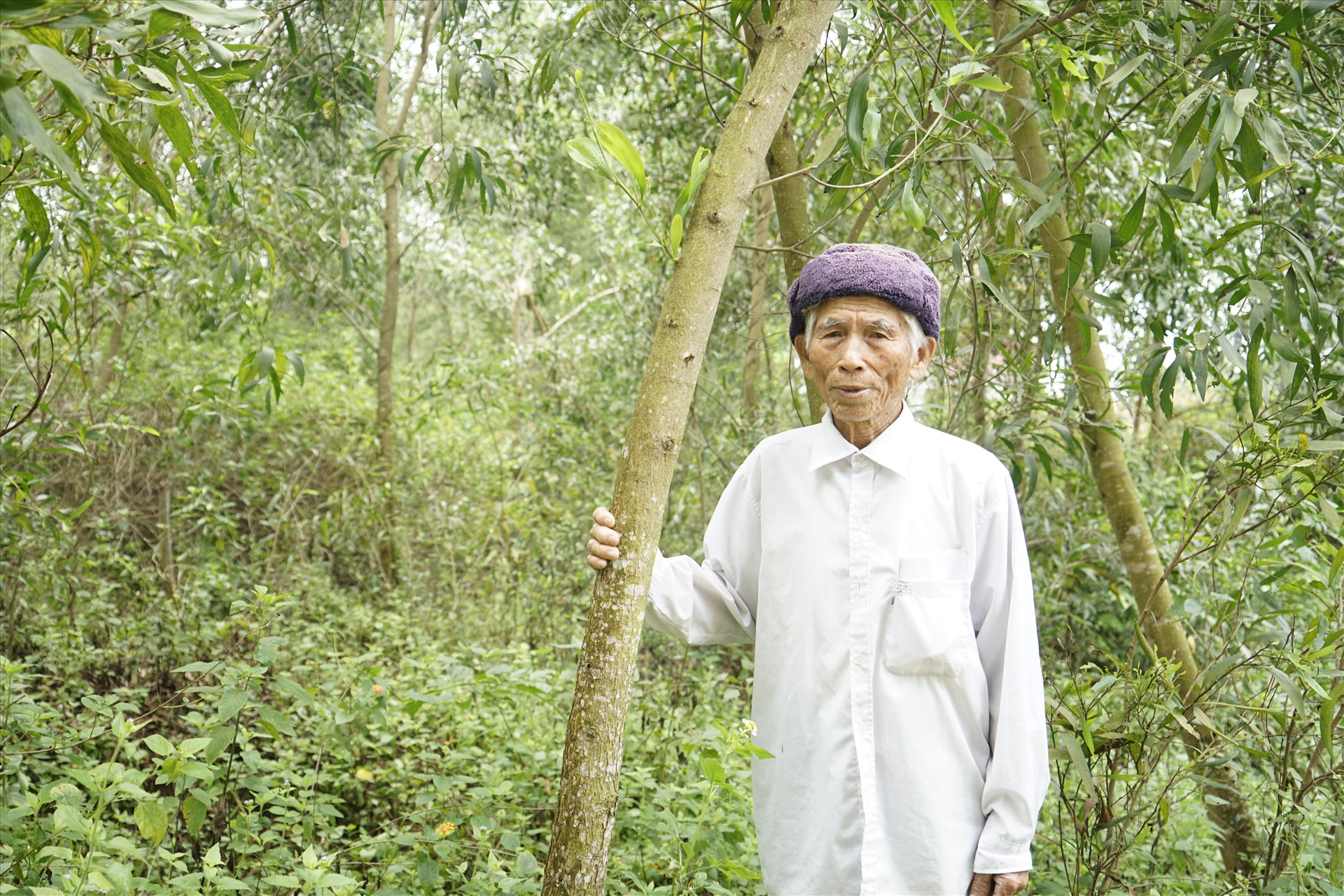 Ông Lê Văn Quắc (90 tuổi) cho biết: Hàng năm, dân không thu được hoa lợi cũng phải nộp tiền cho phường. Ảnh: Quang Đại