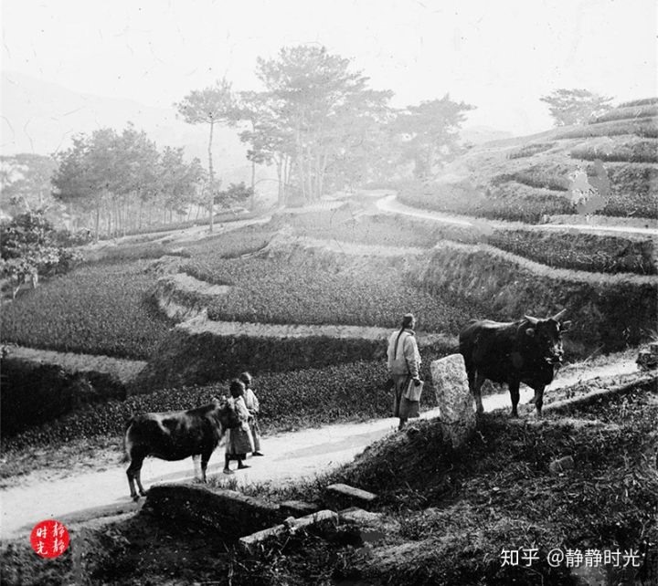 Bức ảnh này là vùng nông thôn Nhất Sơn những năm cuối cùng trong triều nhà Thanh. Ảnh: Zhihu