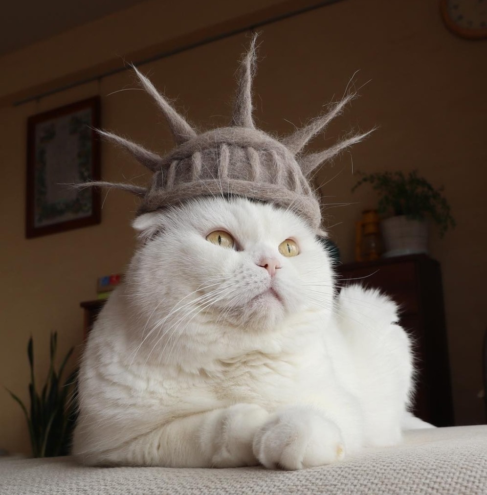 Mũ làm từ lông mèo hình mũ miện của Tượng Nữ thần Tự do. Ảnh: Instagram