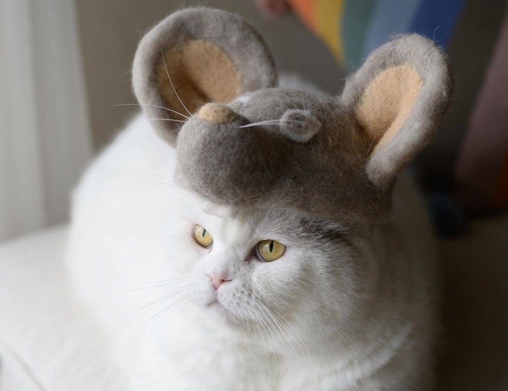 Mũ làm từ lông mèo hình con chuột. Ảnh: Instagram