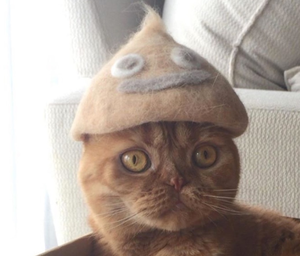 Chiếc mũ làm từ lông mèo hình chóp nón hoặc que kem. Ảnh: Instagram