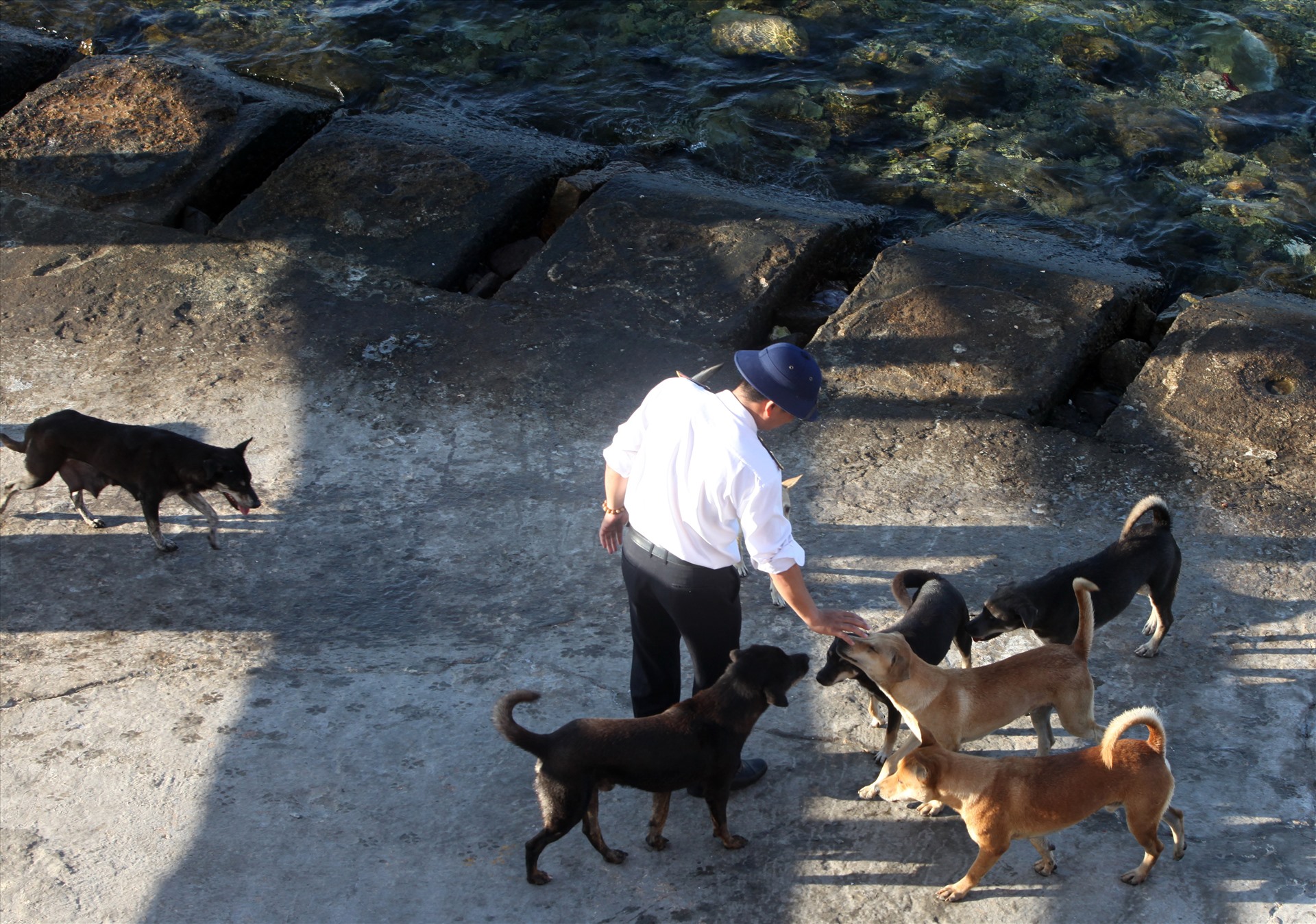 “Quân khuyển” ở đảo Thuyền Chài vốn dữ dằn. Hôm chúng tôi đến thăm đảo, cán bộ chiến sĩ đảo Thuyền Chài nựng đàn chó để đảm bảo an toàn cho khách thăm.
