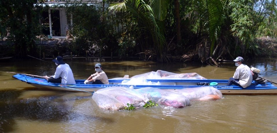 Lợn chết đầy sông nhưng huyện Hồng Dân vẫn chưa công bố dịch khiến người dân bức xúc (ảnh Nhật Hồ)