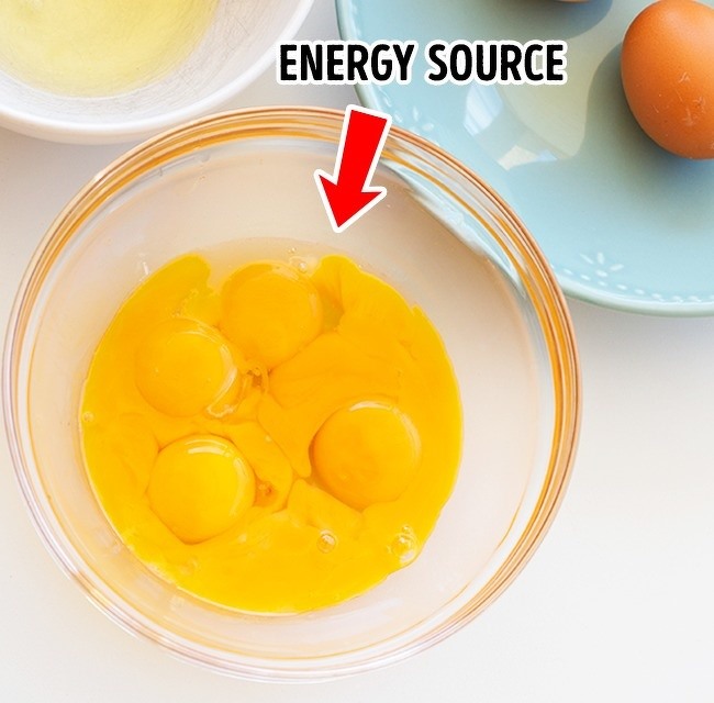 12. Lòng đỏ trứng chứa nhiều chất dinh dưỡng và khoáng chất mà lòng trắng trứng. 24 sự thật về thực phẩm phá hủy những huyền thoại nổi tiếng về ăn uống lành mạnh © hình ảnh ký gửi    Lòng đỏ trứng chứa tất cả các vitamin và khoáng chất hữu ích cần thiết cho chế độ ăn uống cân bằng. Tất nhiên, lòng trắng trứng tốt hơn nhiều cho chế độ ăn kiêng, nhưng nếu bạn cần nhiều chất dinh dưỡng, lòng đỏ là lựa chọn của bạn. Đúng, nó chứa nhiều cholesterol hơn người da trắng, nhưng đừng quên rằng cholesterol là chất dinh dưỡng cần thiết cho tế bào của bạn.