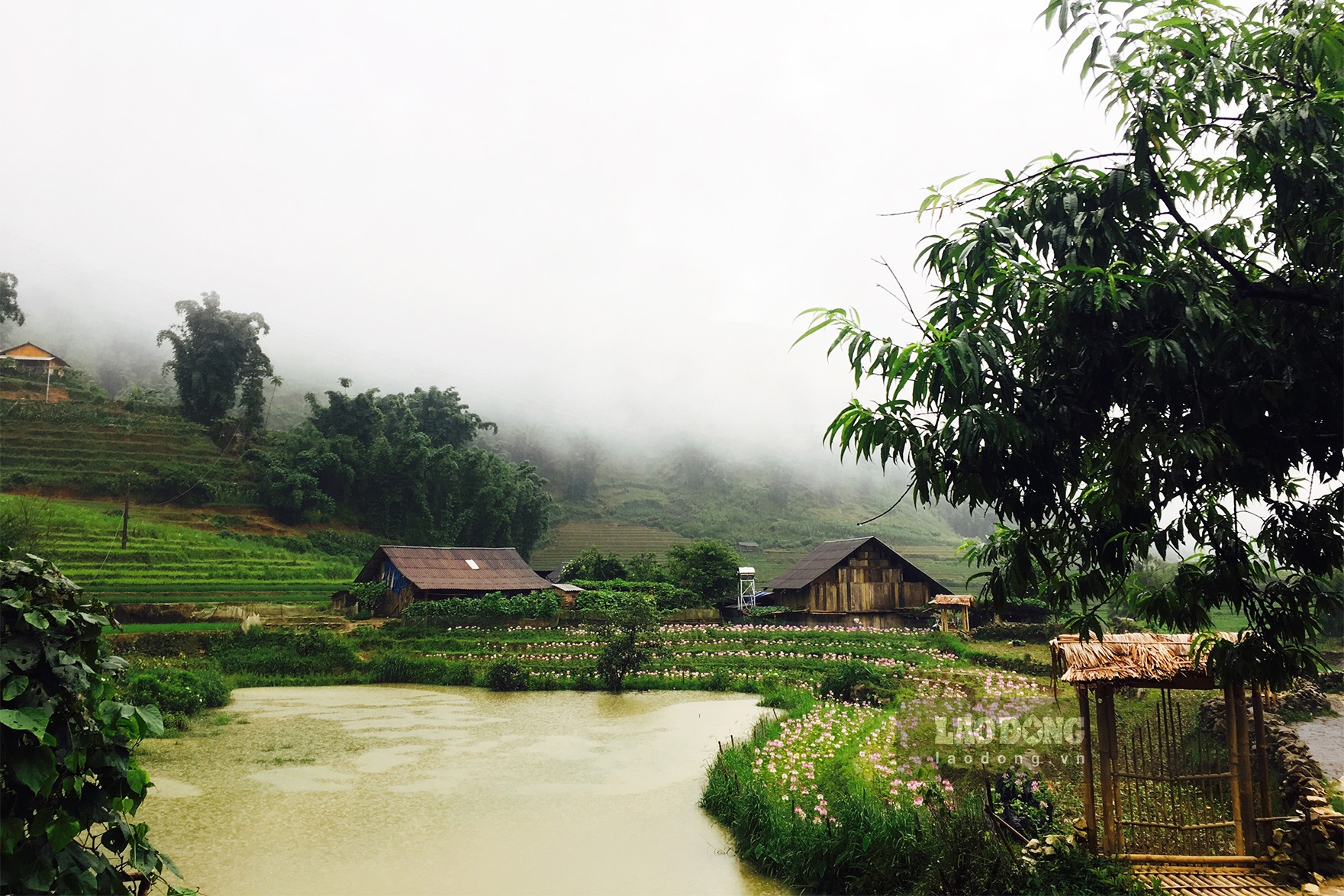 Ngôi làng là nơi gắn bó với nhiều kỷ niệm của đời sống vùng quê Việt Nam. Điều đặc biệt ở những ngôi làng đó là không khí thanh bình, những người dân thân thiện, tràn đầy nụ cười. Hãy cùng đến với hình ảnh của một ngôi làng để trở về với một thế giới yên bình và đầy tình cảm.