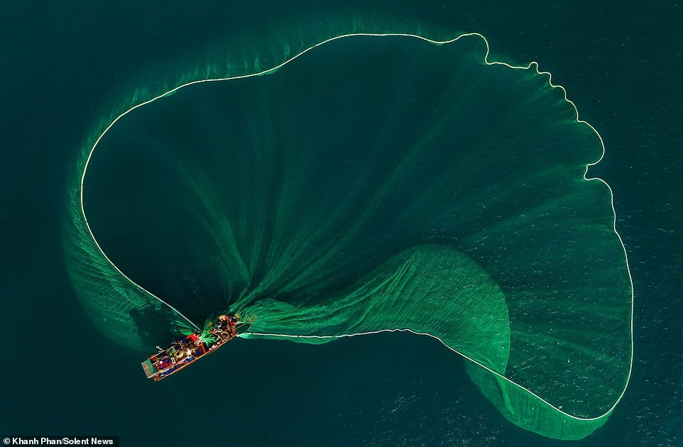 Chiếc thuyền đang giăng lưới để đánh cá cơm ở biển An Hải, Phú Yên, Việt Nam. Ảnh: Daily Mail.