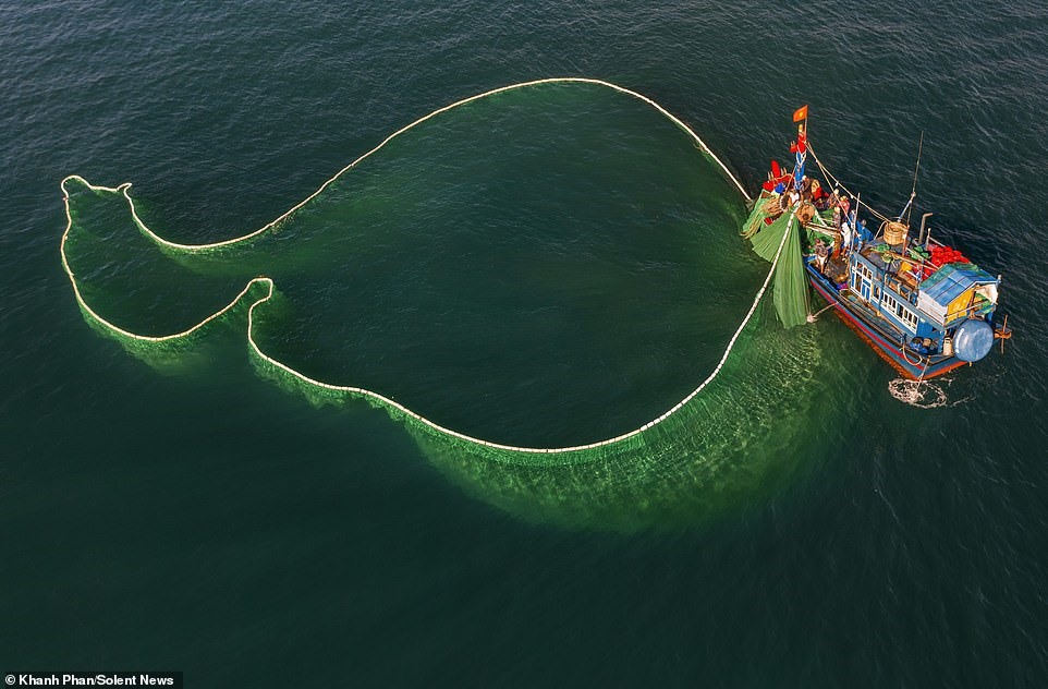 Tấm lưới đánh cá được tung xuống tạo nên những hình dạng khác nhau trên nền đại dương xanh thăm thẳm tạo ấn tượng mạnh tới người xem. Ảnh: Daily Mail.