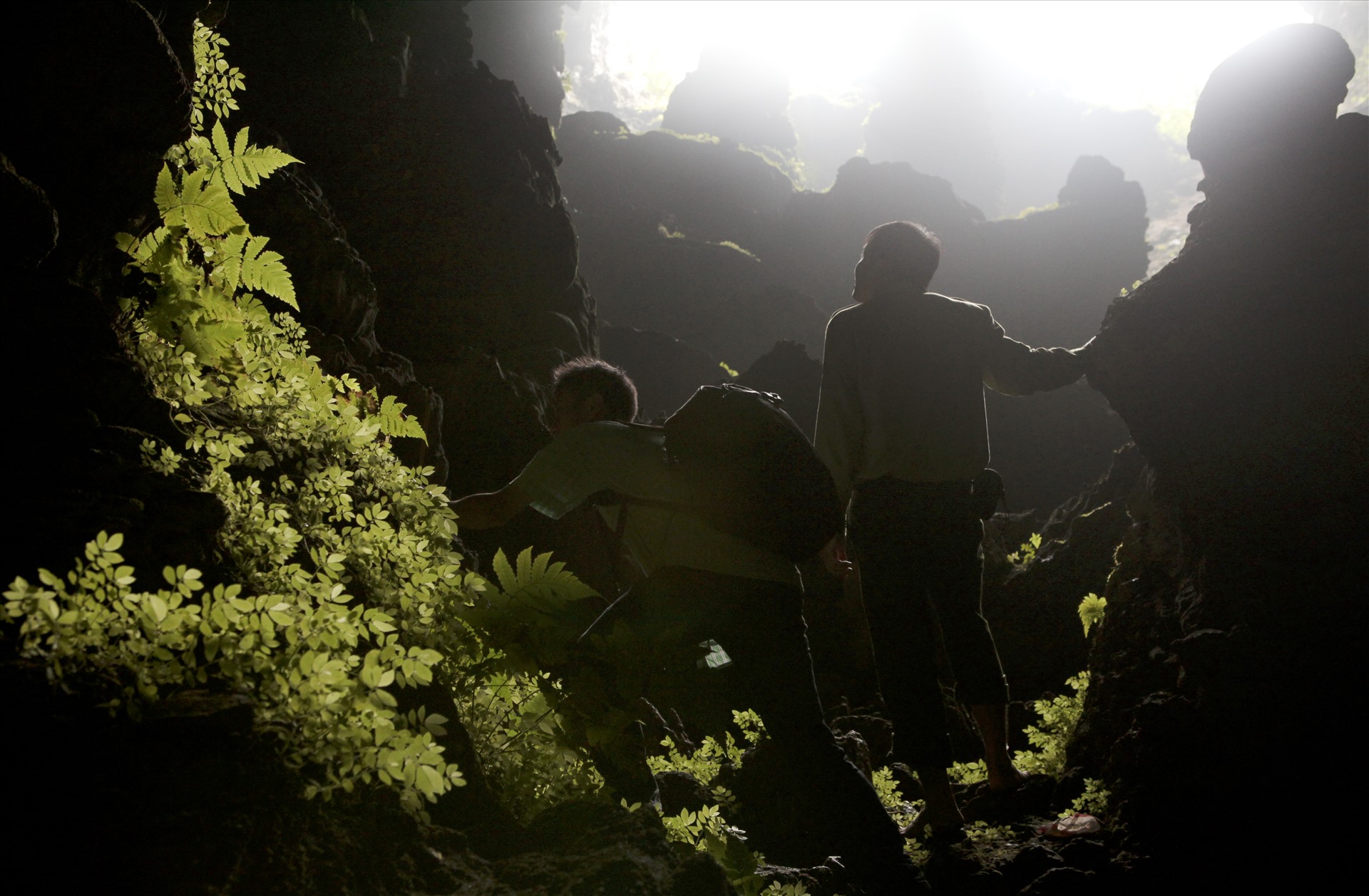 Do đặc điểm núi ở Pù Luông là núi đá vôi nên hình thành nhiều hang nhỏ với hệ thực vật trong hang vô cùng phong phú.