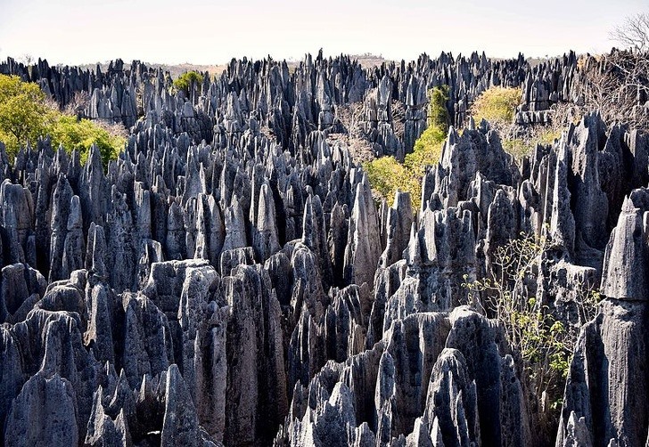 8. Công viên quốc gia Tsingy de Bemaraha Công viên này nằm ở châu Phi trở nên nổi tiếng bởi được tạo nên bằng những tảng đá nhấp nhô. Những hang đá này đã được UNESCO công nhận là Di sản Thế giới vào năm 1990. Đây là một điểm đến tuyệt vời cho các nhà thám hiểm và du khách quan tâm đến thiên nhiên.