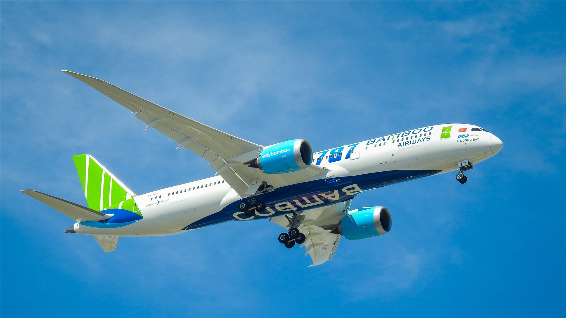 Phục vụ cho chuyến bay trên là dòng máy bay thân rộng Boeing 787-9 Dreamliner trong đội bay Bamboo Airways.