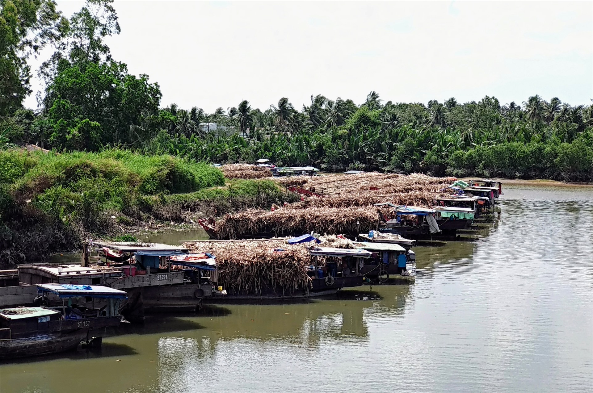 Giá mía vốn đã rẻ, khi người dân chở đến bán ở nhà máy phải chịu thêm cảnh nằm chờ tài. Các nhà máy chậm thu mua một phần vì thiếu công suất hoạt động, một phần vì đường tồn kho quá lớn. Từ 3 năm qua, cứ đến kỳ thu hoạch lại xuất hiện hình ảnh những chiếc ghe chở mía neo đậu khắp các tuyến sông, chạy dài theo nỗi khổ sở của nông dân.