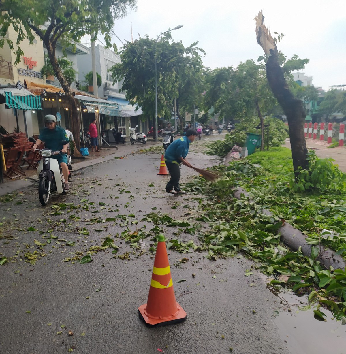 Đến khoảng 17g chiều, cơn mưa bắt đầu tạnh, nhưng mây đen vẫn còn xám xịt với gió mạnh. Một lãnh đạo UBND quận Ninh Kiều cho biết, lực lượng chức năng đang di dời những cây xanh ngã đổ phục vụ việc đi lại của người dân, và thống kê những thiệt hại để có hướng xử lý.