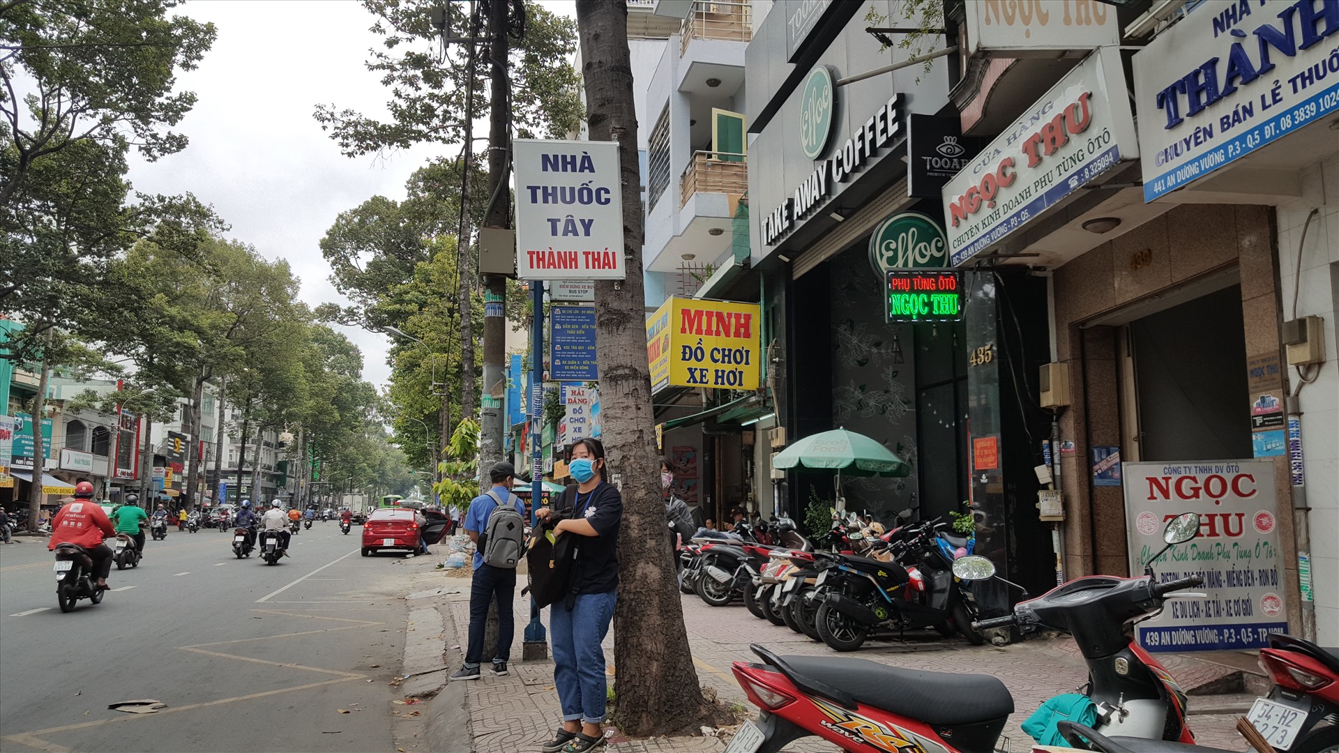 Một nhà thuốc tây tận dụng cây xanh để đóng bảng hiệu. Ảnh ghi nhận tại đường An Dương Vương (quận 5, TPHCM).