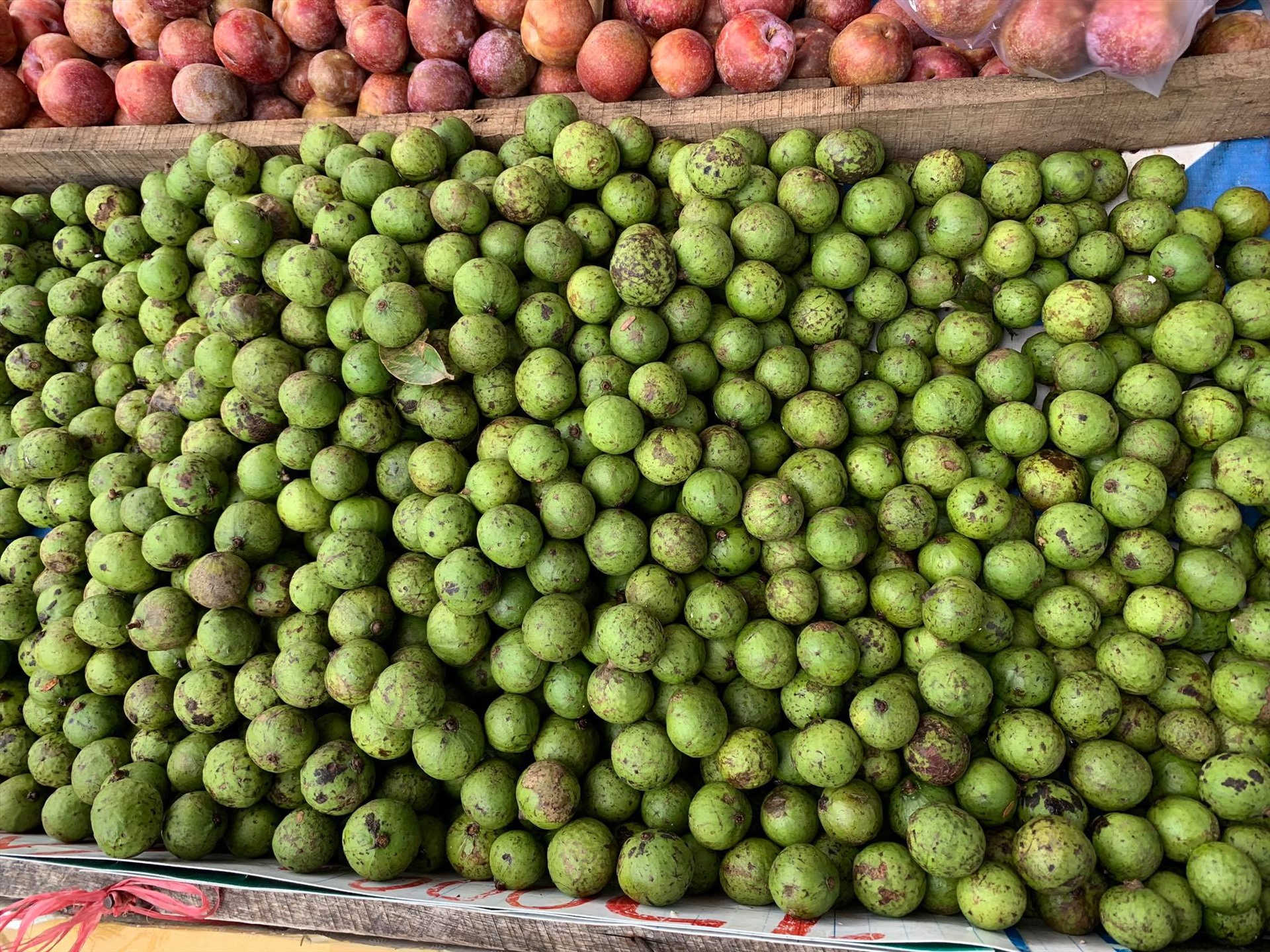 Theo chị H. bán trái cây trên đường Phạm Văn Bạch (quận Gò Vấp) cho biết: Sấu với mận Hà Nội được mùa mà vì không xuất khẩu được nên mới có giá rẻ. Như mọi năm giá của những loại trái cây này phải dao động từ 60-80.000/kg.