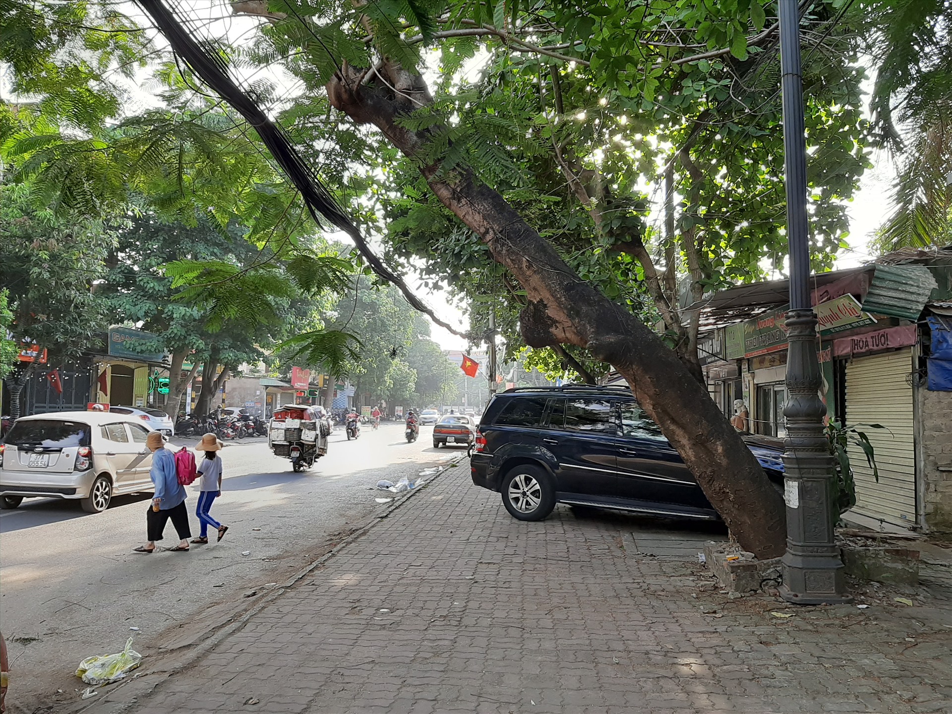 Một cây phượng vĩ cổ thụ trên đường Nguyễn Văn Trỗi thành phố Vinh có nguy cơ bật gốc gây tai nạn cho người đi đường. Ảnh: Tuấn Quỳnh