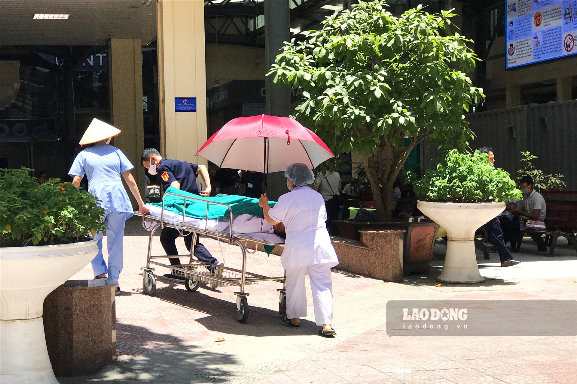 Nhân viên y tế vận chuyển bệnh nhân phải che ô vì quá nắng nóng. Ảnh Ngọc Anh