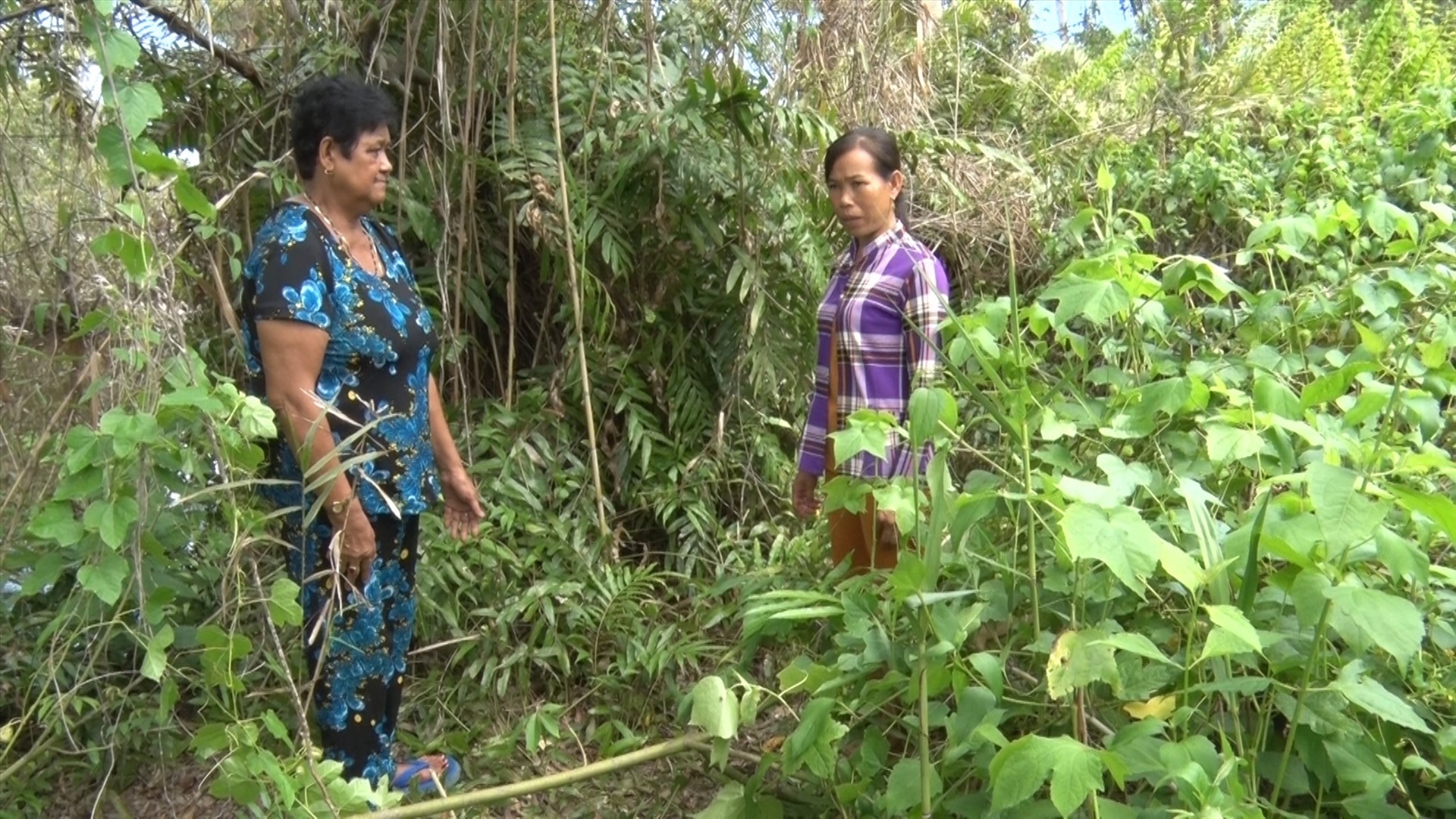 Bé gái được chị Trần Ngọc Oanh(bìa phải) nhìn thấy trong bụi cây này cách lộ khoảng 3m và được bà Danh Thị Sa Oanh(bìa trái) sơ cứu hút mũi, thổi ngạt. Ảnh: N.A