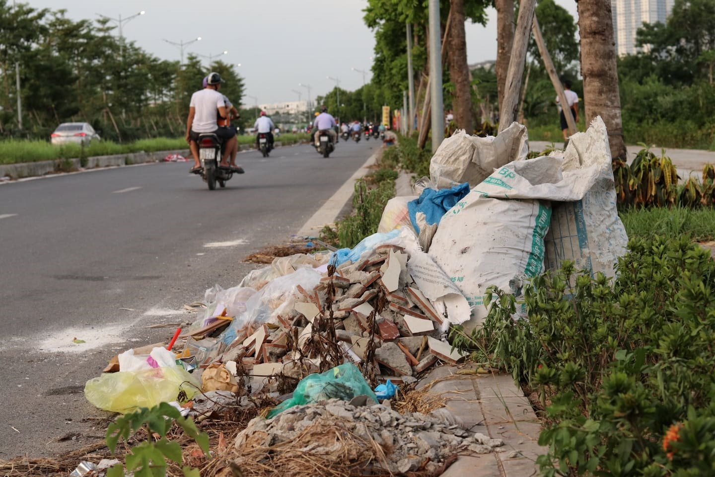 Tuy chỉ dài khoảng 2.5 km, thế nhưng hiện nay trên Đại lộ có đến hàng chục bãi rác tự phát làm mất mỹ quan đô thị.