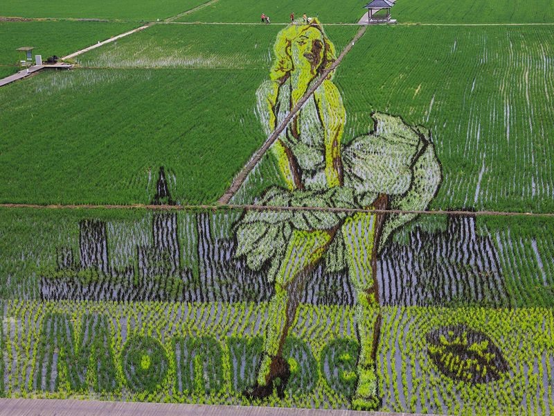 Vẽ tranh phong cảnh làng quê  vẽ tranh người nông dân cấy lúa  YouTube
