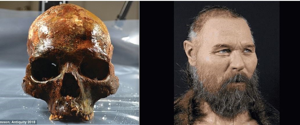 Hộp sọ 8.000 năm tuổi từng được phát hiện trong một ngôi mộ tập thể dưới nước ở Thụy Điển vào năm 2018. Ảnh: Daily Mail.