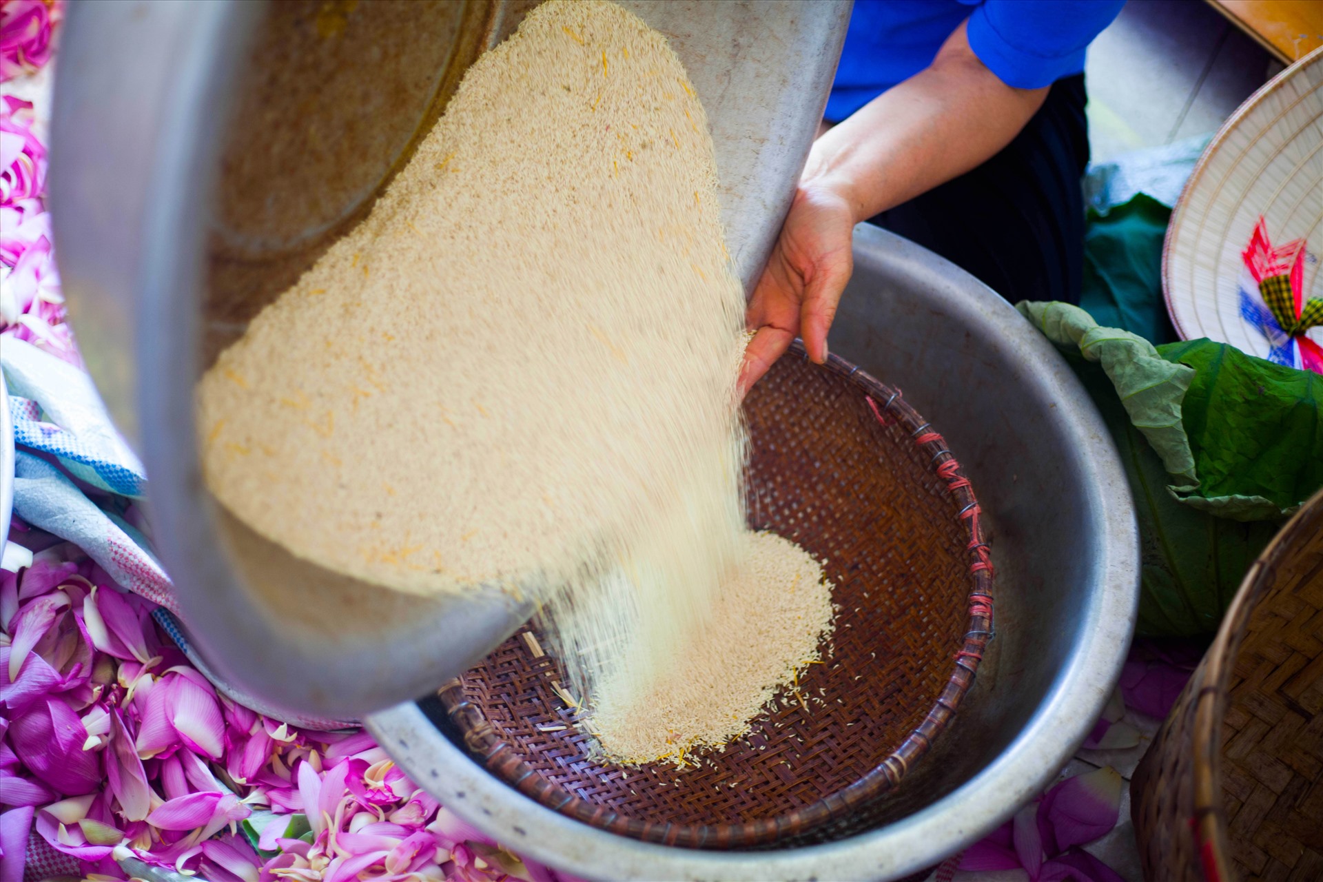 Gạo sen được sàng lọc kĩ để ướp trà.