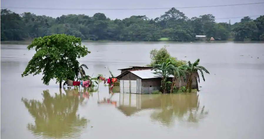 Một ngôi nhà trơ trọi giữa mênh mông nước lũ ở bang Assam, Ấn Độ. Ảnh: Reuters