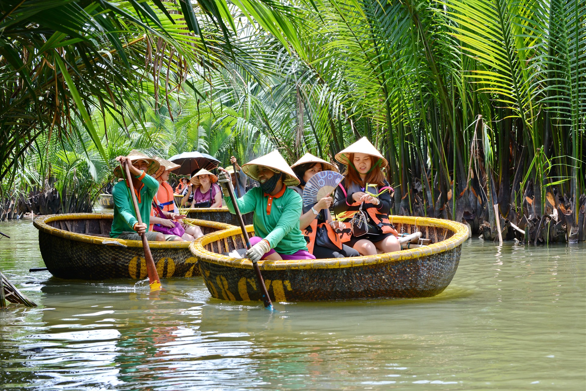 Du khách tham quan rừng dừa nước Cẩm Thanh ở Hội An. Ảnh: Thái Hoàng
