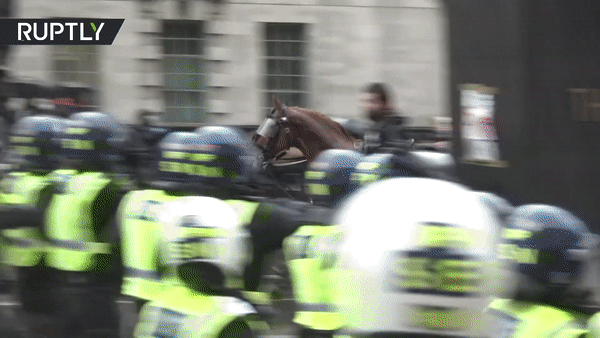 Ngựa của kỵ binh Anh sợ hãi bỏ chạy vì bị người biểu tình tấn công. Nguồn: RT