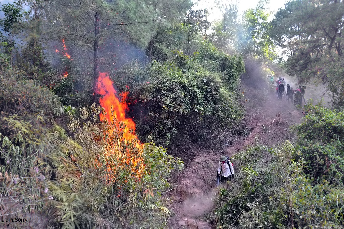 Hà Tĩnh: Hàng nghìn chiến sĩ vật lộn với “giặc lửa” trên núi Mồng Gà