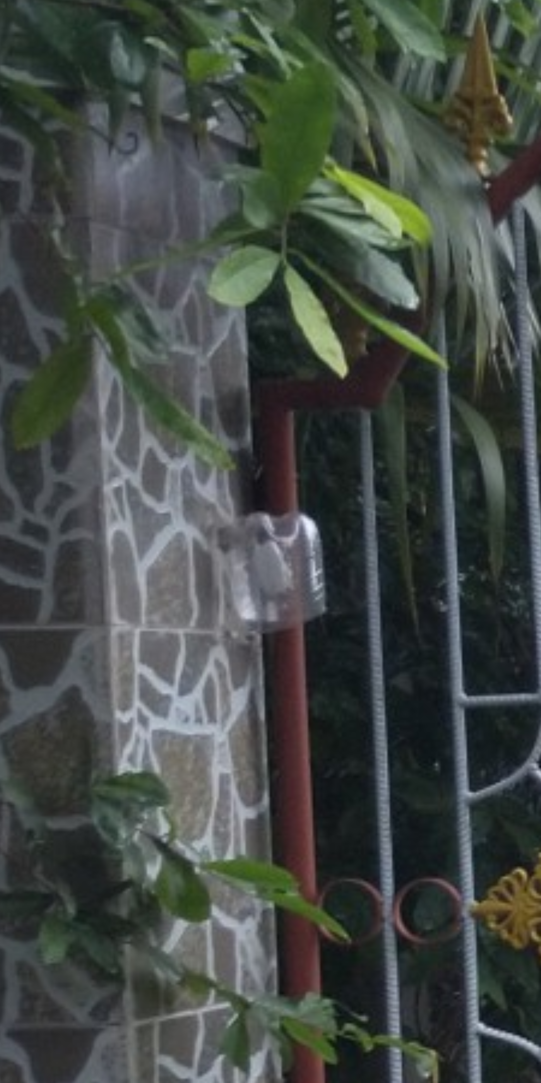 Công tắc chuông được đặt trong chai nhựa treo trên góc cổng rào. Ảnh: K.Q