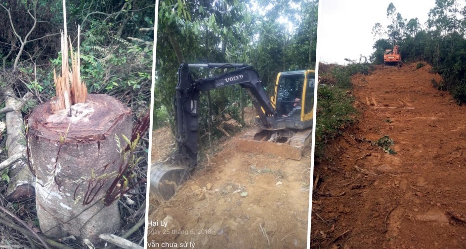 Những hình ảnh cho thấy rừng phòng hộ khu vực Đá Bia đang bị gia đình ông Dương Văn Trần xâm hại.