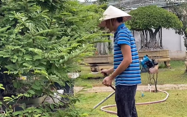 Hoài Linh tự tay chăm vườn tại nhà thờ Tổ. Ảnh: Cắt từ clip.
