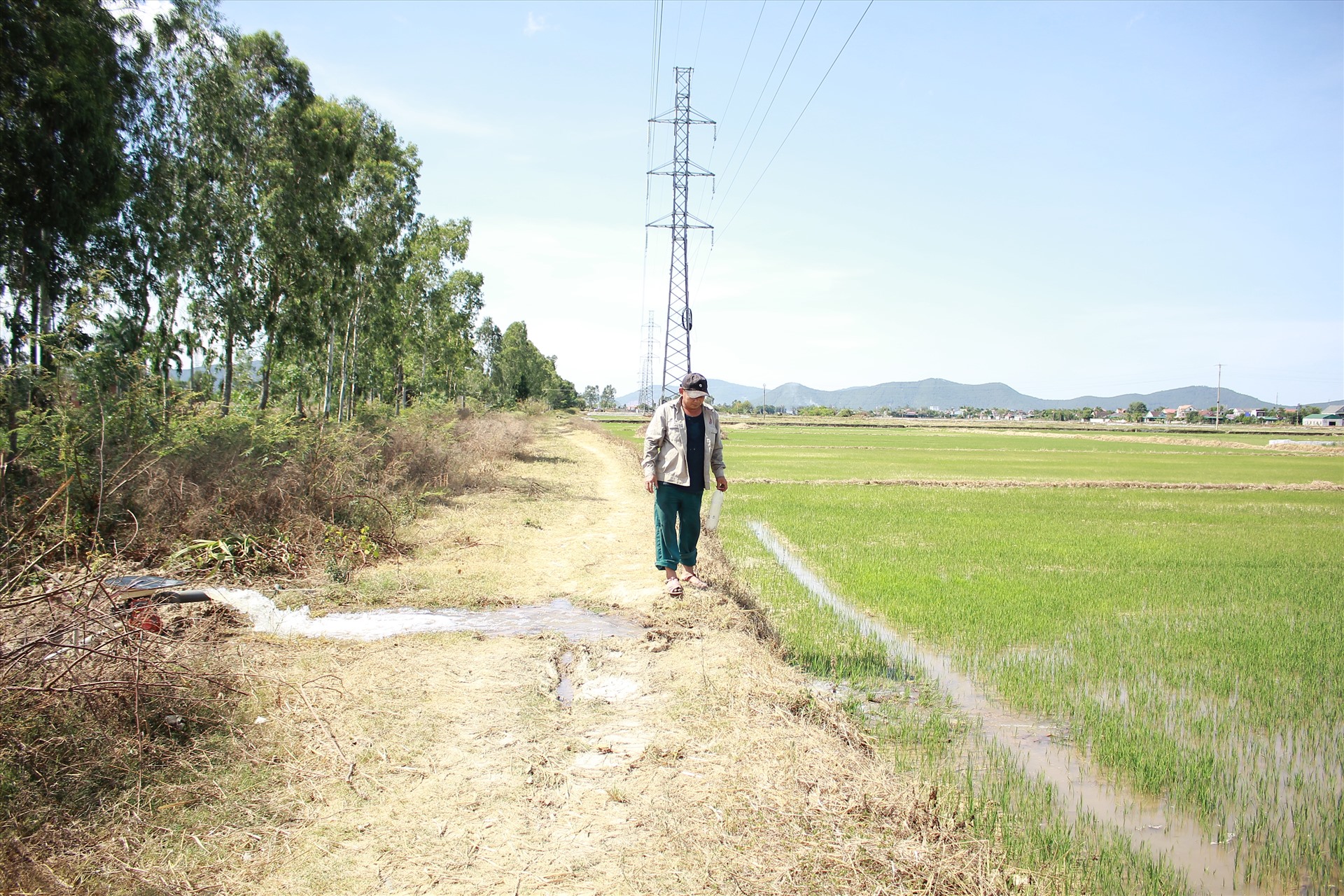 Anh Nguyễn Quang Thành (xóm 2, xã Nghi Hoa) đang tích cực bơm nước còn sót lại trên ao hồ để cứu ruộng lúa của mình. Ảnh: Trần Tuyên