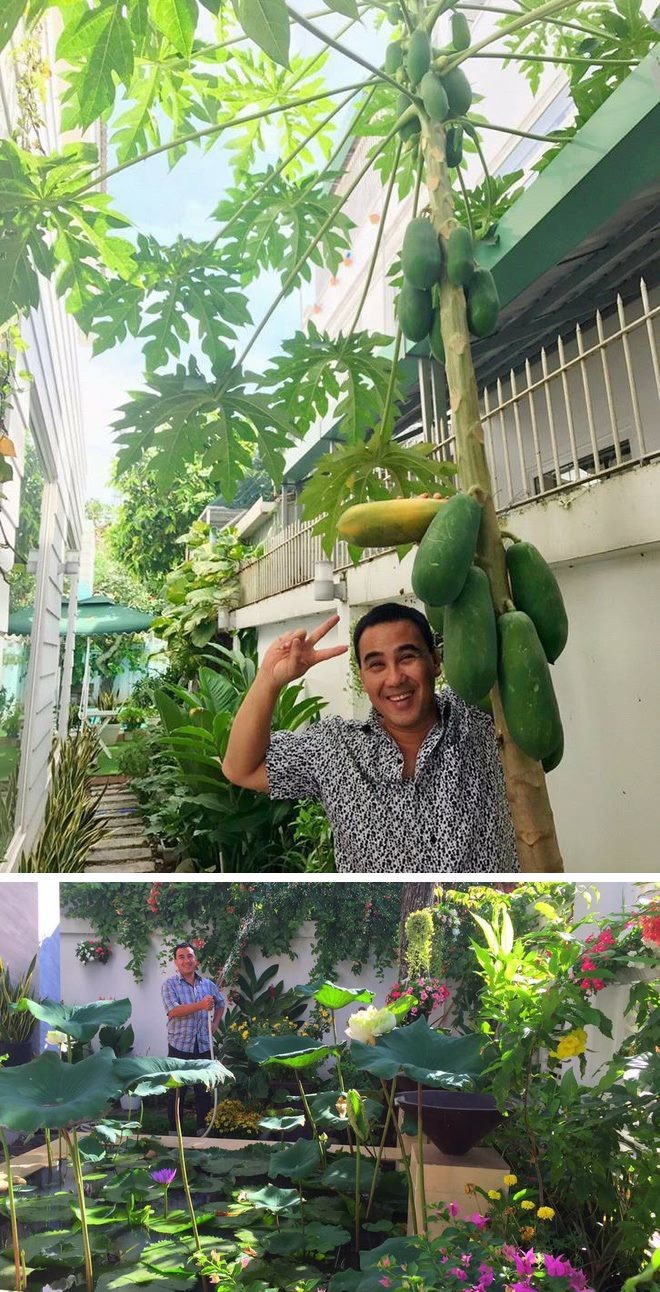 Vườn rau xanh tốt trong biệt thự triệu đô của các sao Việt hạng A