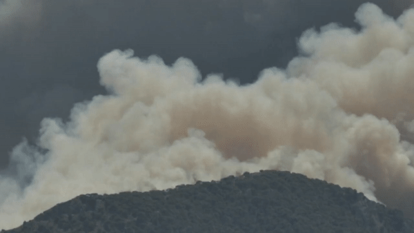 Đám cháy rừng đã hoành hành ngày thứ 2 liên tiếp tại Hy Lạp. Ảnh: Newzee.