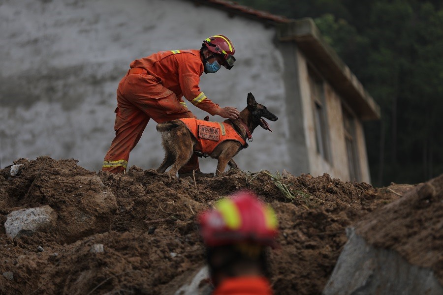 Nhân viên cứu hộ và những chú chó anh hùng làm việc trong suốt 48 giờ để tìm kiếm 9 nạn nhân được báo cáo mất tích sau trận lở đất ở Trung Quốc hồi đầu tháng này. Ảnh: China Daily