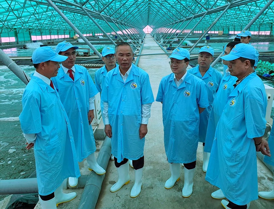 Thứ trưởng Bộ NNPTNT kiếm tra mô hình nuôi tôm của Tập đoàn Việt Úc tại Bạc Liêu (ảnh Nhật Hồ)