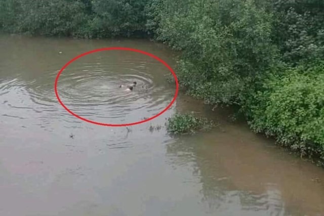 Hình ảnh anh Trung dũng cảm bơi xuống sông Hội cứu người hôm 17.4. Ảnh: TT.
