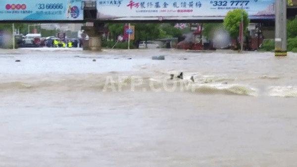 Cận cảnh ngập lụt xung quanh trường thi đại học ở Sùng Dương, Hồ Bắc ngày 8.7. Ảnh: AFP